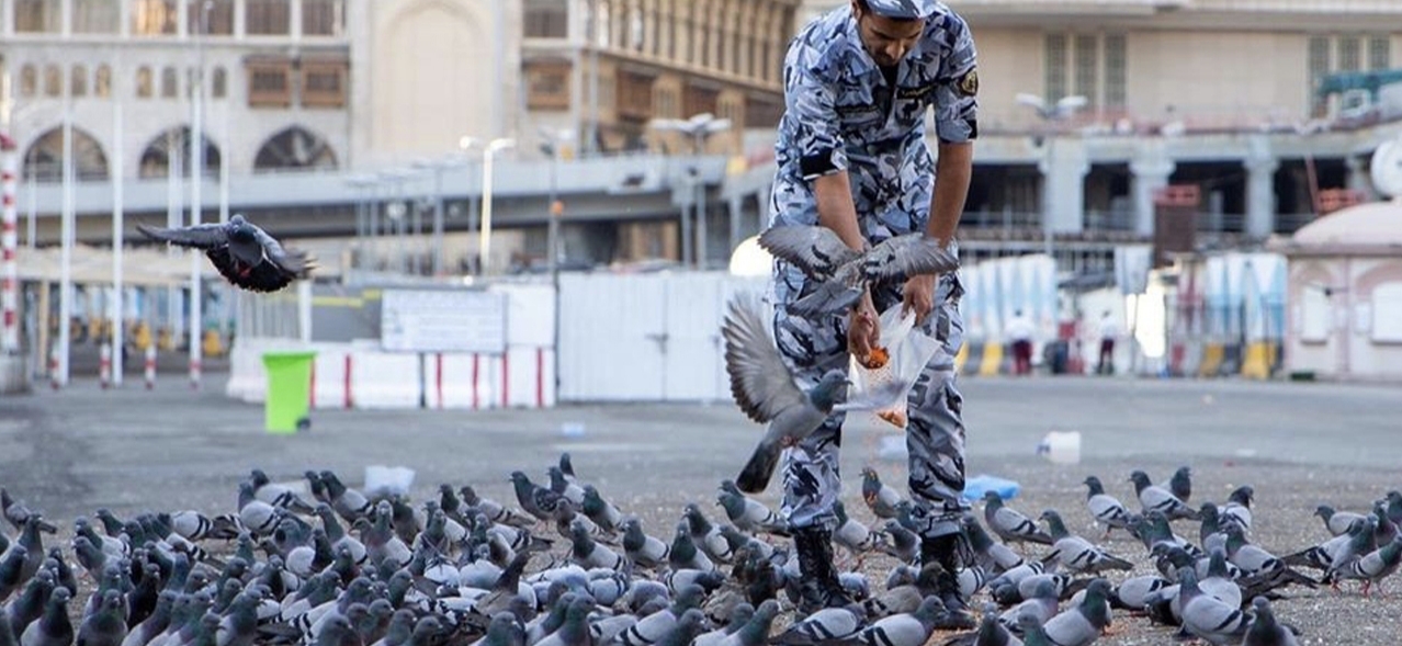 Ada Aturan Baru, Memberi Makan Merpati di Makkah Bisa Didenda hingga Ribuan Riyal