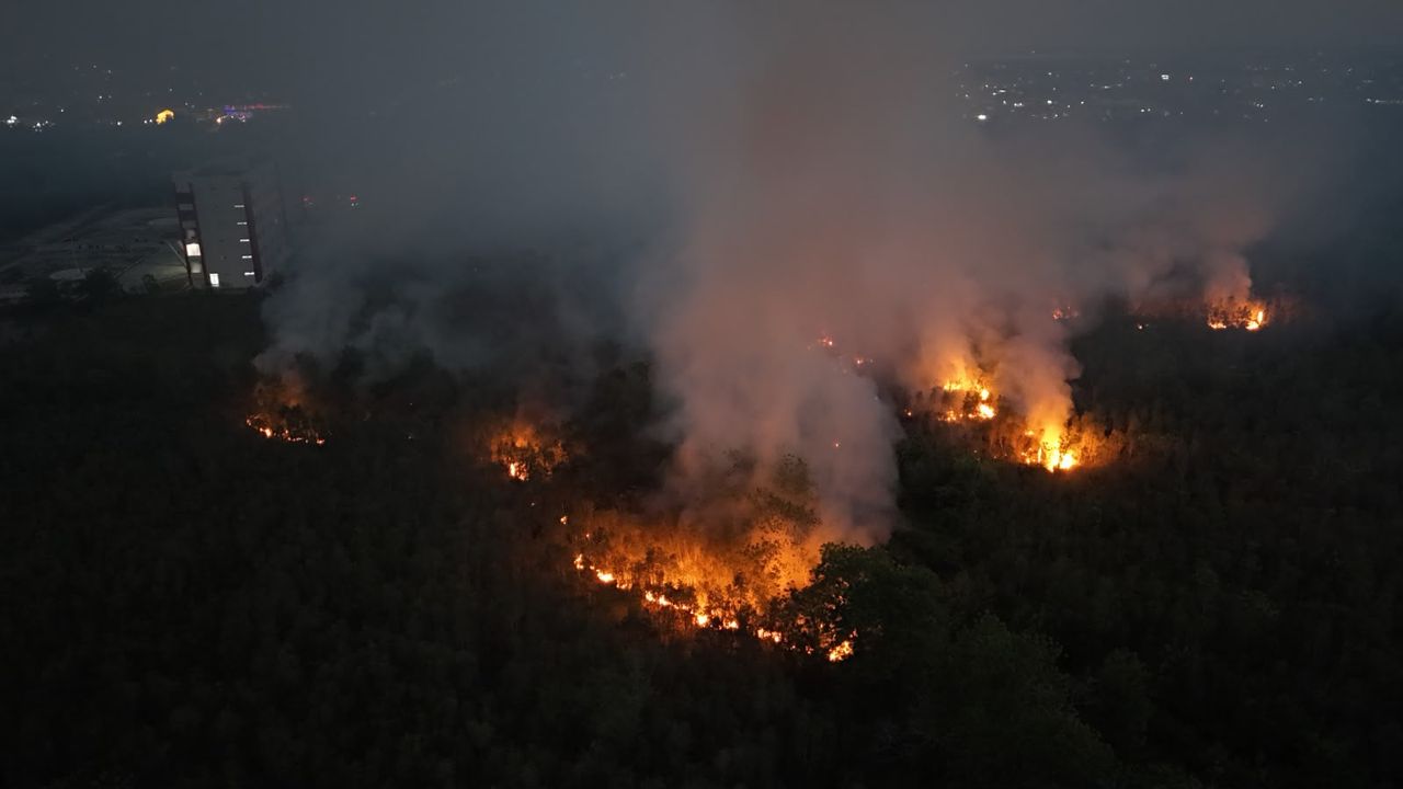 85.766 Hektare Terbakar di Enam Provinsi dan 37,9 Juta Terpapar Asap, Kalimantan Terbakar atau Dibakar?