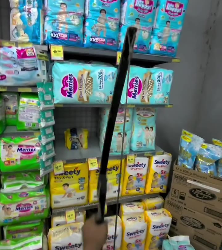 Belajar Memanah di Supermarket